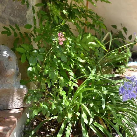 Holidays In Lagrasse