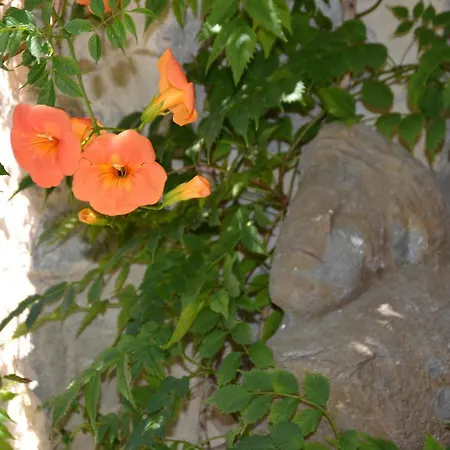 Holidays In Lagrasse