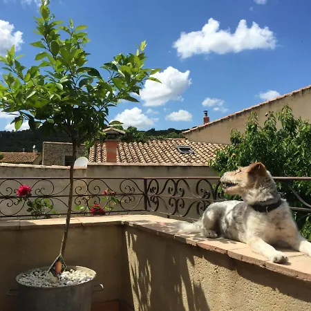 Holidays In *